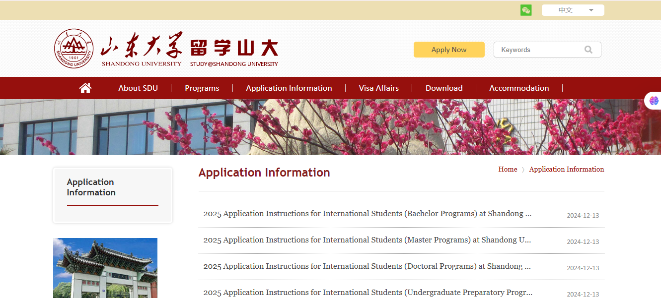 Shandong University Scholarship