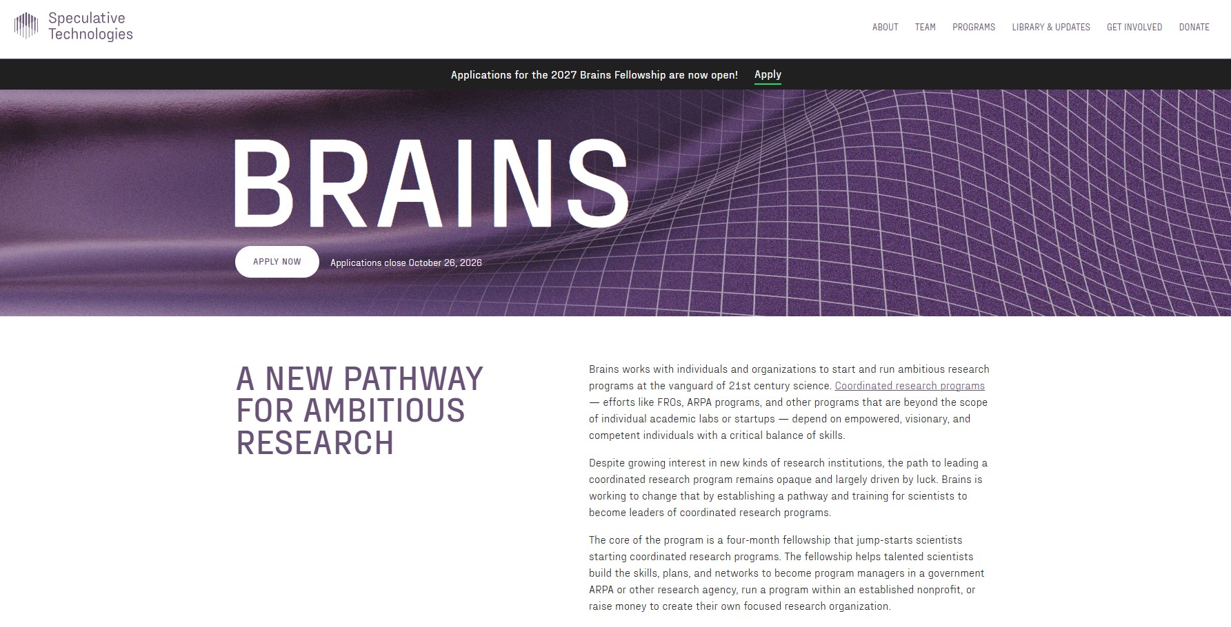 Brains Fellowship 2027