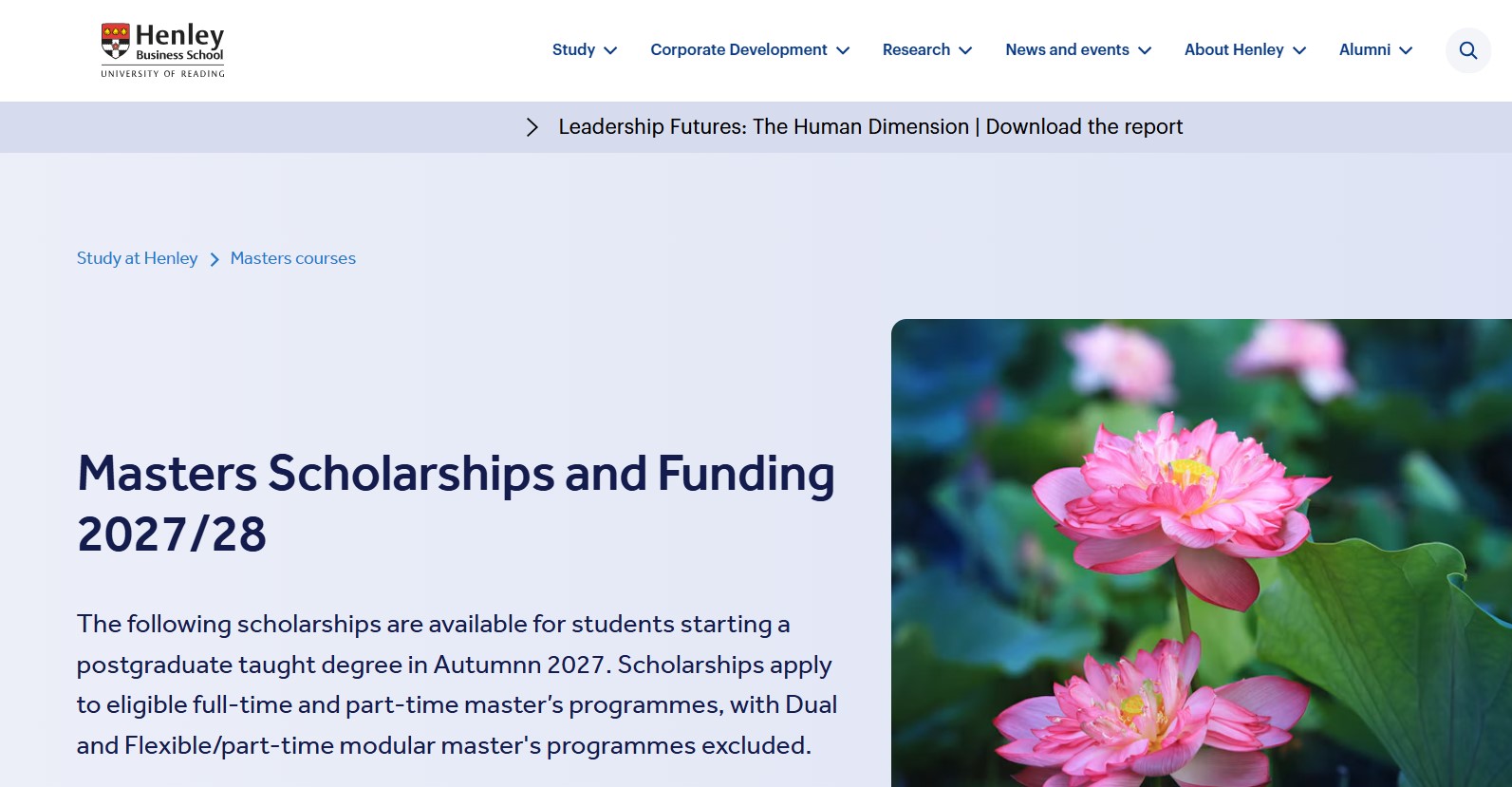 Henley Business School Scholarships 2027