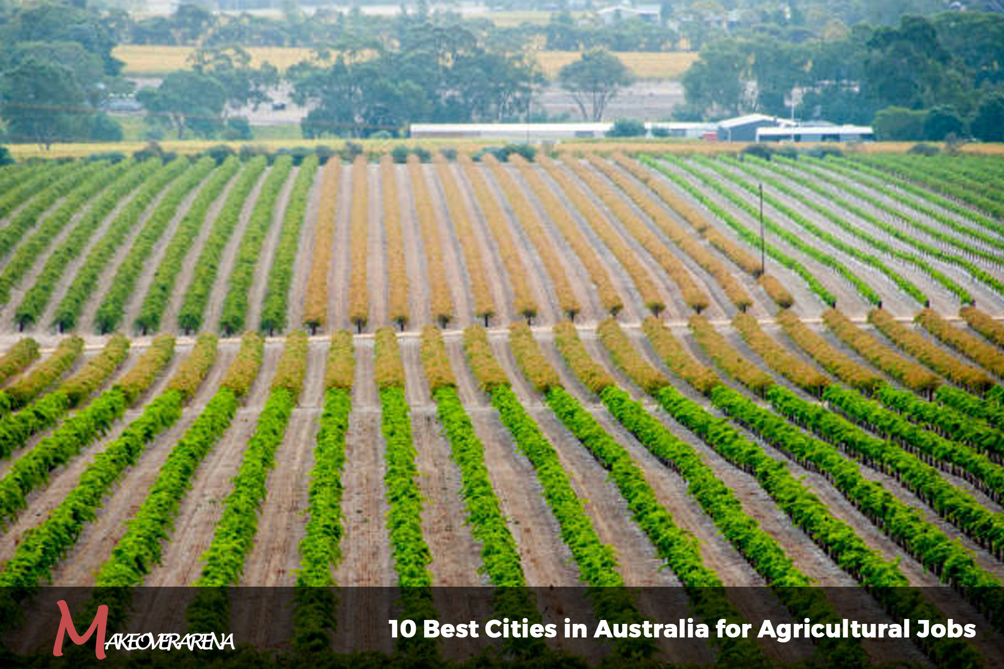 10 Best Cities in Australia for Agricultural Jobs