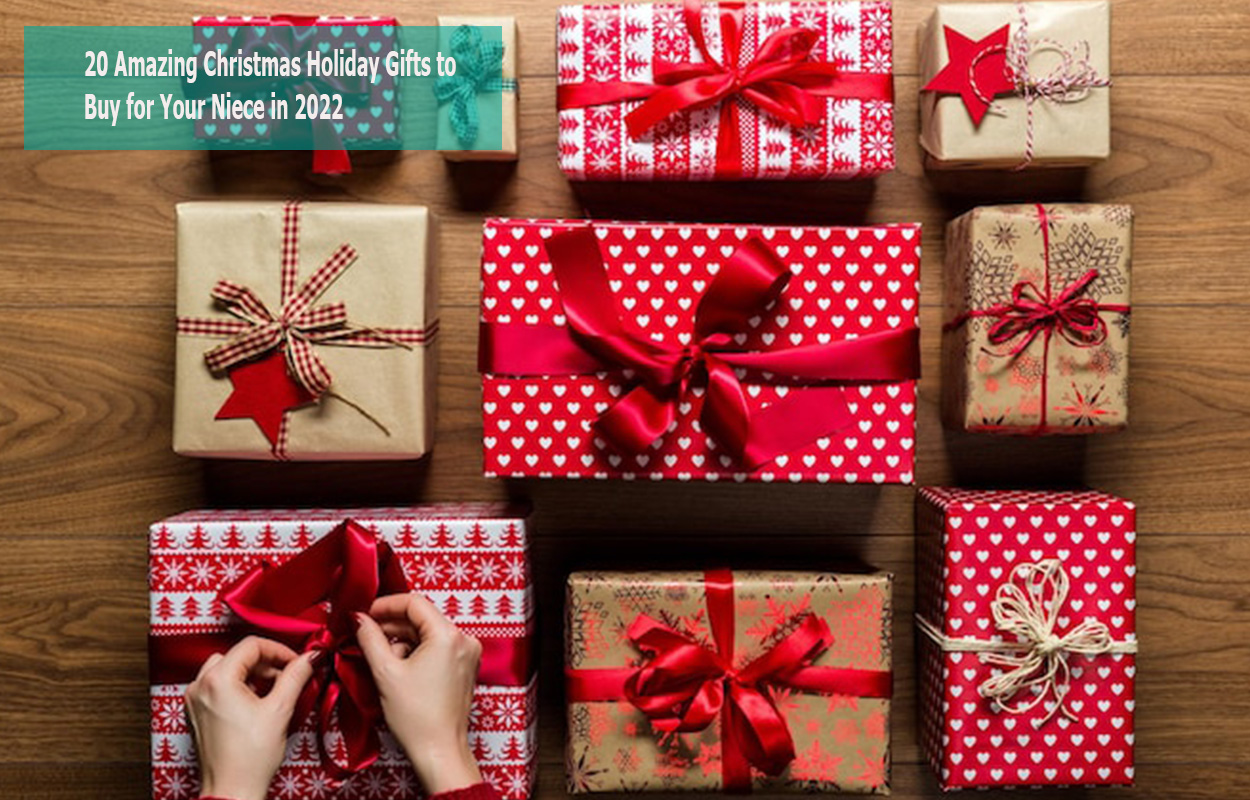 20 Amazing Christmas Holiday Gifts to Buy for Your Niece in 2022