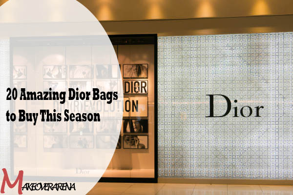 20 Amazing Dior Bags to Buy This Season
