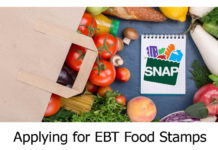 Applying for EBT Food Stamps