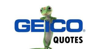 Gieco Insurance Quotes