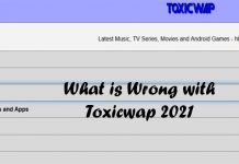 What is Wrong with Toxicwap 2021