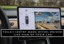 Tesla’s Sentry Mode Offers Drivers Live View of Their Car
