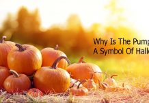 Why Is The Pumpkin A Symbol Of Halloween?