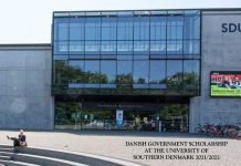 Danish Government Scholarship at the University of Southern Denmark 2021/2022