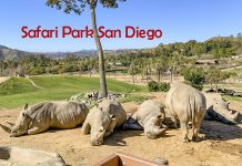 Safari Park San Diego