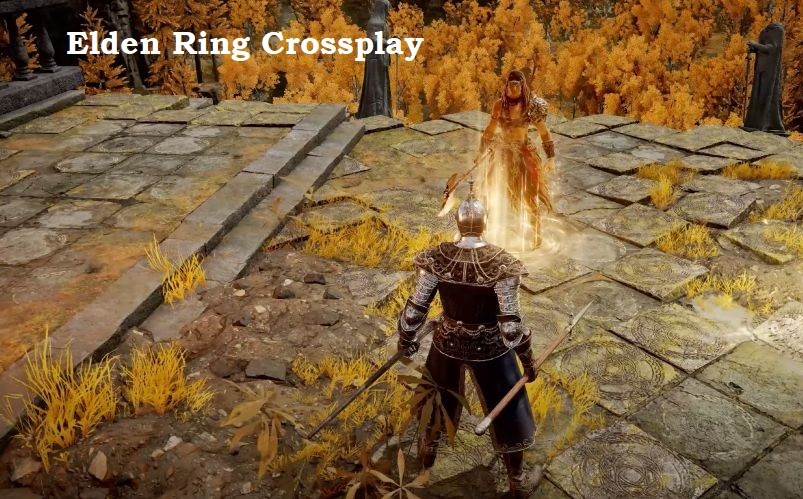 Elden Ring Crossplay