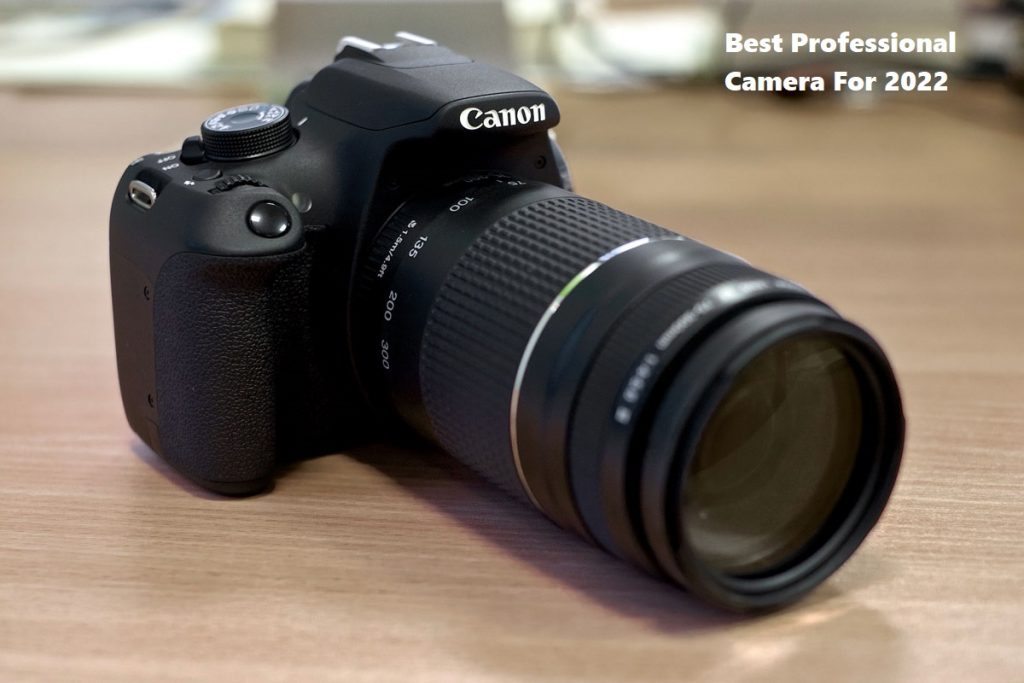 Best Professional Camera For 2022