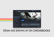 Steam Has Shown Up On Chromebooks