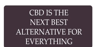 CBD Is the Next Best Alternative for Everything