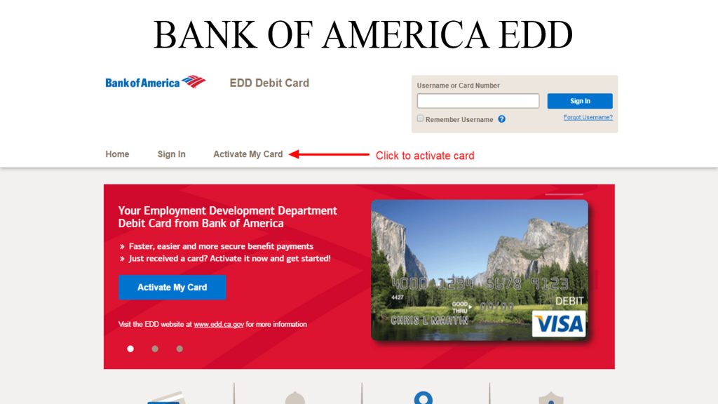 Bank of America EDD