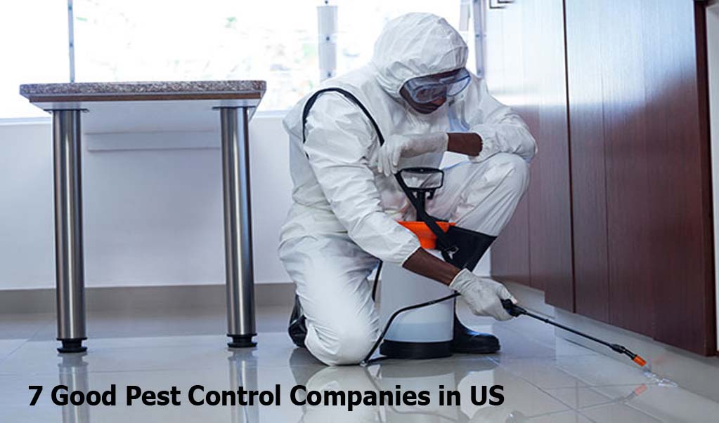 7 Good Pest Control Companies in US