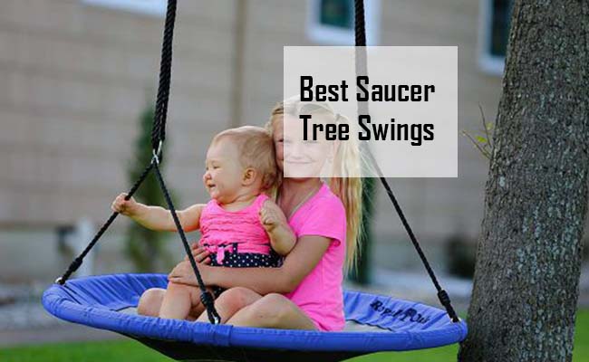 Best Saucer Tree Swings 