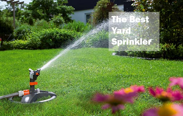 The Best Yard Sprinkler 