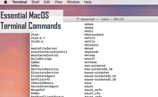 Essential MacOS Terminal Commands