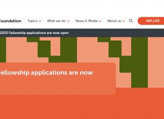 Mo Ibrahim Foundation Leadership Fellowship Program