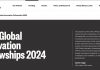 ODA Global Innovation Fellowships 2024