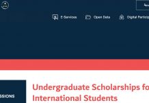 United Arab Emirates University Undergraduate Scholarships For International Students 2024