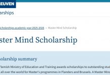 Master Mind KU Leuven Scholarship