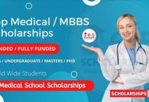 Top Medical Scholarships for International Students to Study Abroad
