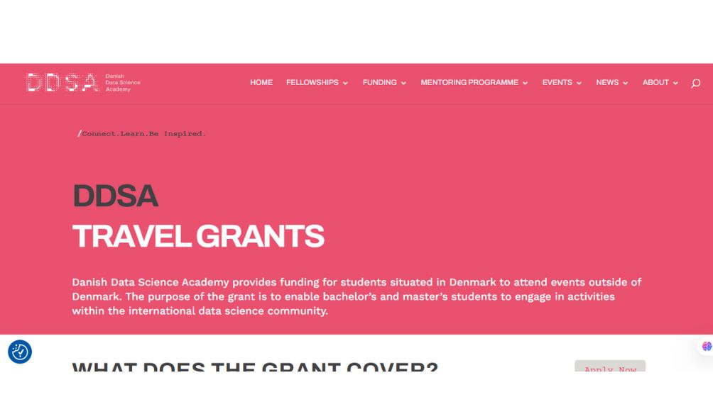 DDSA Visit Grant Scholarships 2025