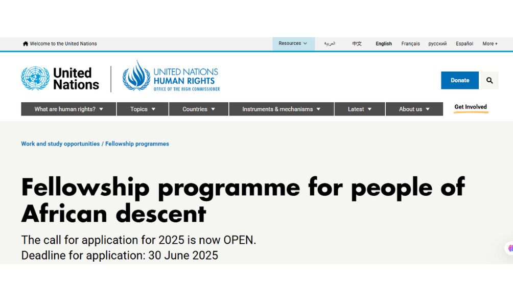 UN OHCHR Fellowship 2025