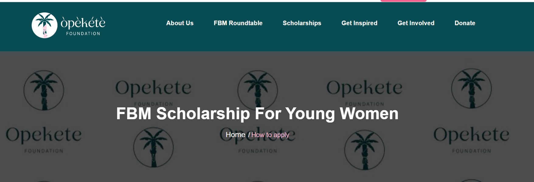 FBM Scholarship for Young Women 2025