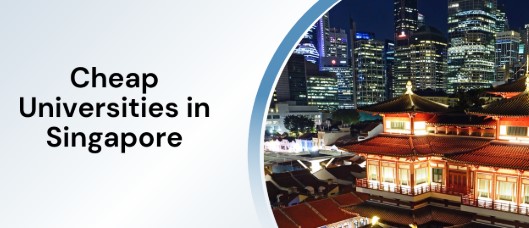 Top Universities in Singapore for International Students to Study With Affordable Tuition