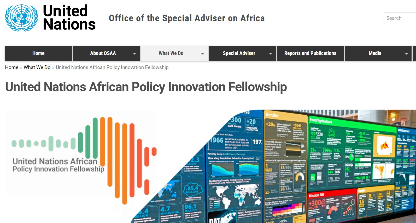 United Nations African Policy Innovation Fellowship 2025