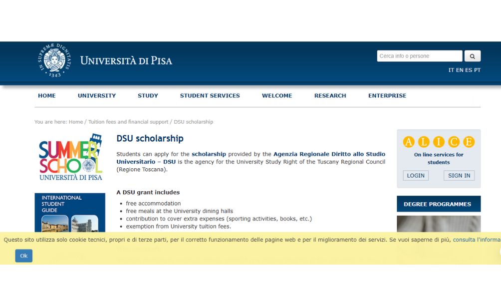 University of Pisa DSU Scholarship