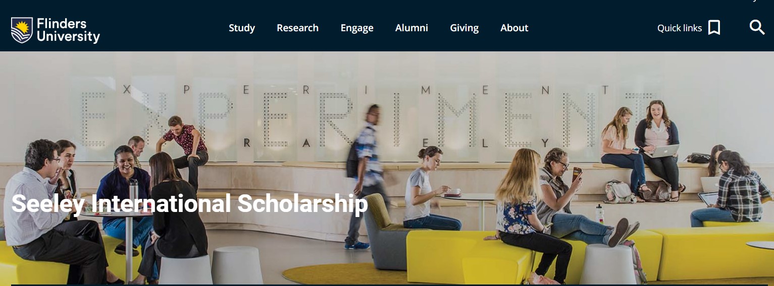 Seeley International Scholarship 2025 for Engineering Students