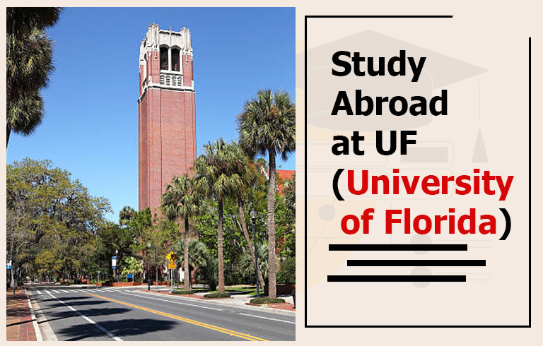 Study Abroad at UF (University of Florida)