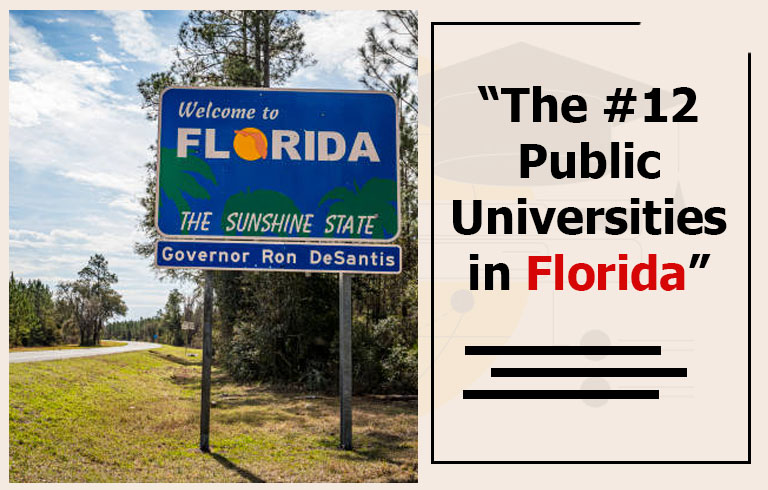 The 12 Public Universities in Florida