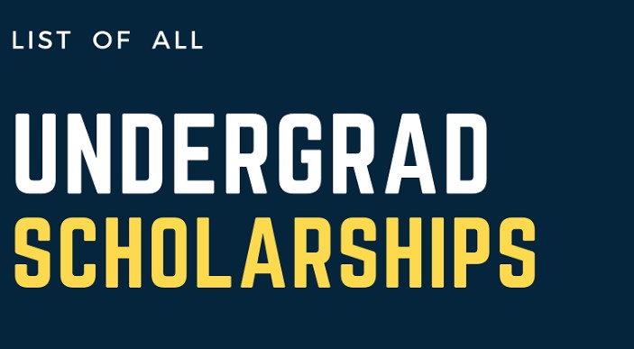 Top 10 Undergraduate Scholarships for International Students 