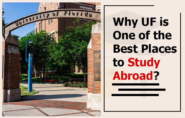 Why UF (University of Florida) is One of the Best Places to Study Abroad