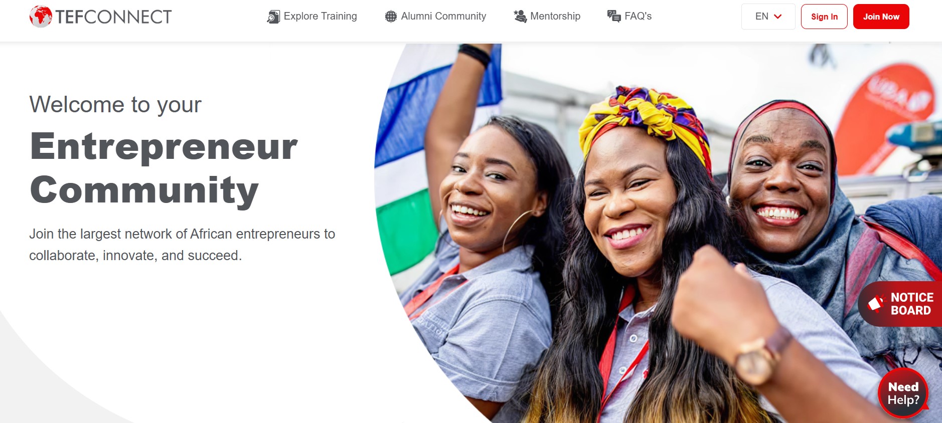 2026 Tony Elumelu Foundation Grant (TEF) for Africans | Application Guide & Requirements 2026 Tony Elumelu Foundation Grant (TEF) for Africans