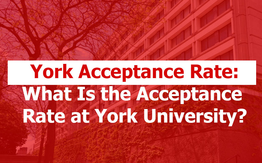 York University Acceptance and Admissions Rate