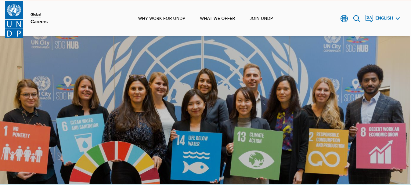 UNDP Internship Program 2026