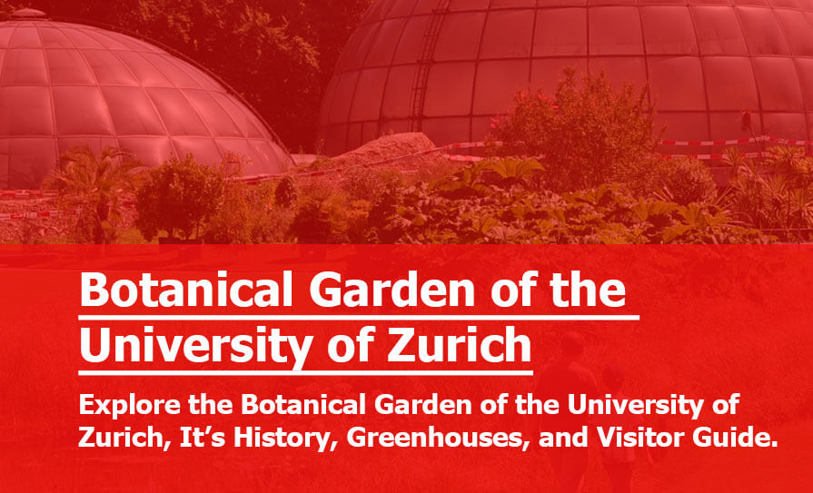 Botanical Garden of the University of Zurich