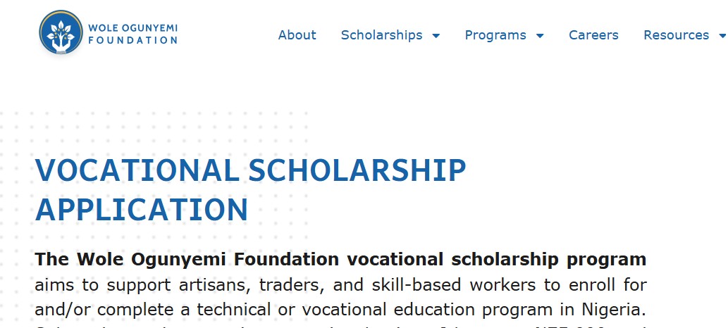 Wole Ogunyemi Foundation Vocational Scholarship