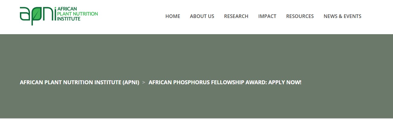 African Phosphorus Fellowship Award 2026