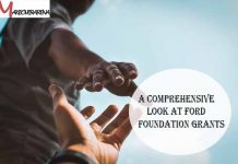 A Comprehensive Look at Ford Foundation Grants