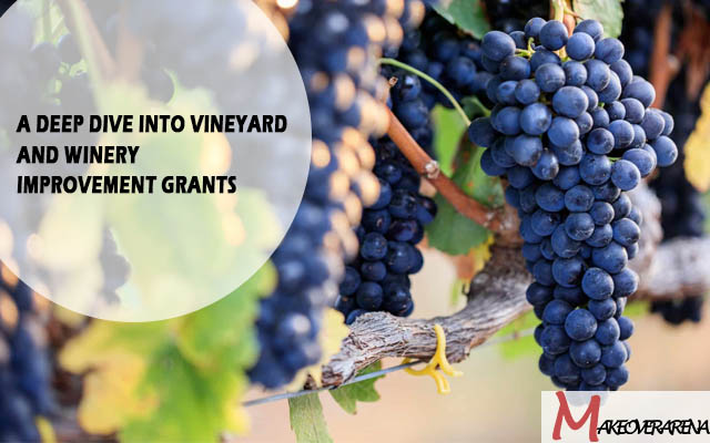 A Deep Dive into Vineyard and Winery Improvement Grants