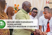 AKISAN Undergraduate Scholarship 2024 for Nigerian Students