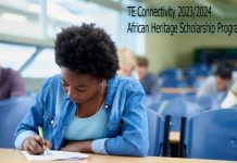 TE Connectivity 2023/2024 African Heritage Scholarship Program