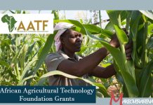 African Agricultural Technology Foundation Grants