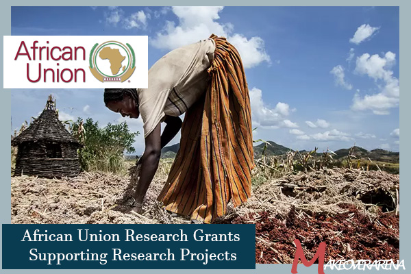 African Union Research Grants